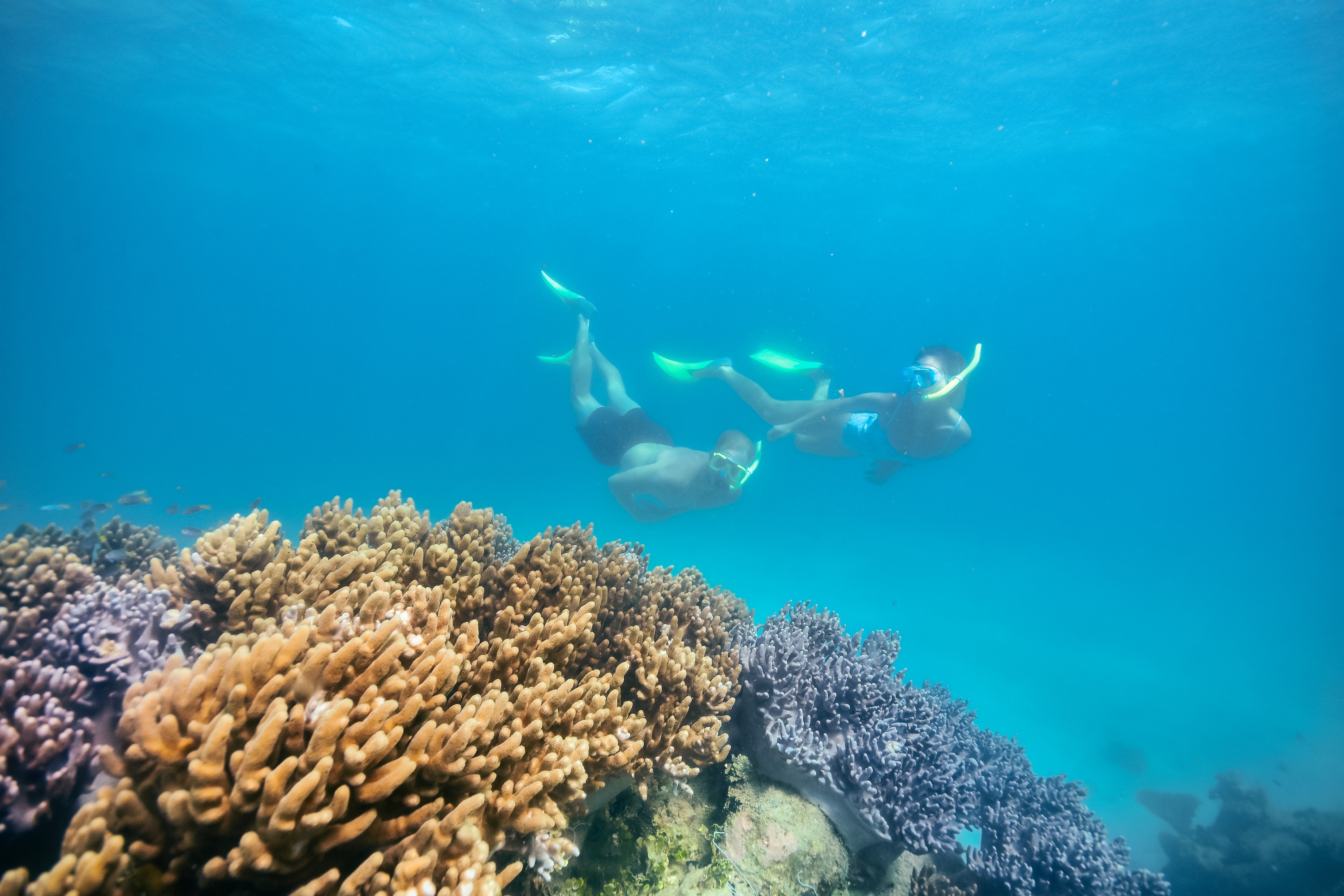 Snorkelling Green Island Great Barrier Reef | How to do Green Island Cairns